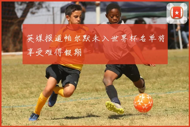英媒报道帕尔默未入世界杯名单将享受难得假期